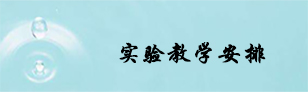 实验教学安排